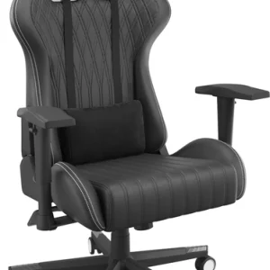 Fauteuil pour joueurs